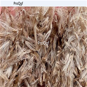 19usd Prodgf 3000Pcs A Set RADIX PULSATILLAE seed