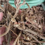 19usd Prodgf 500Gram A Set RADIX PULSATILLAE