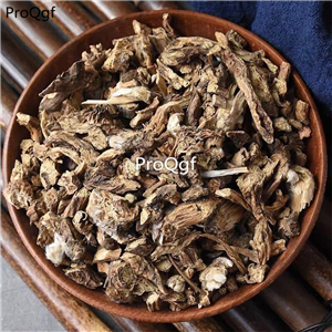 19usd Prodgf 500Gram A Set RADIX PULSATILLAE