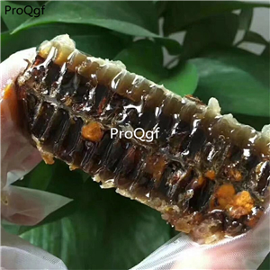 19usd Prodgf 200Gram A Set honeycomb good