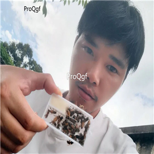 19usd Prodgf 20pcs A Set bee
