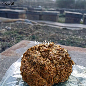 19usd Prodgf 2 Set bee glue natural