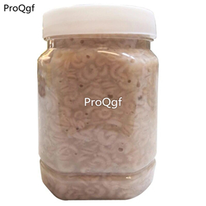 19usd Prodgf 100Gram A Set queen bee baby