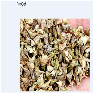 19usd Prodgf 20000Pcs A Set spinach four seasons vegetable seed