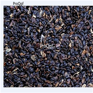 19usd Prodgf 30000Pcs A Set four seasons sowing EUSTOMA seed