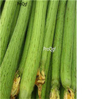 19usd Prodgf 1000Pcs A Set loofah luffa seed
