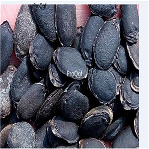 19usd Prodgf 1000Pcs A Set loofah luffa seed
