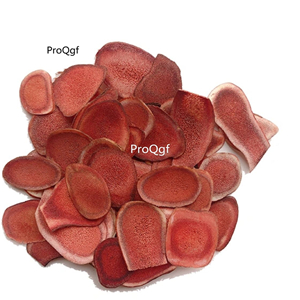 19usd ProQgf 100Gram A Set cartialgenous