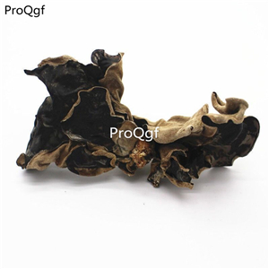 19usd Ngryise 500Gram A Set shandong white ear Auricularia auricula