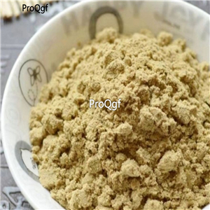19usd Prodgf 300Gram A Set Xanthium sibiricum  powder