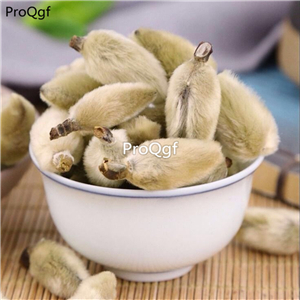 19usd Prodgf 500Gram A Set magnolia xinyi
