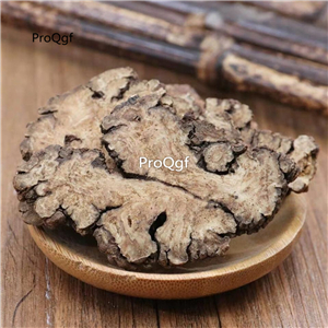 19usd Prodgf 500Gram A Set Ligusticum sinense