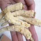 19usd Prodgf 200Gram A Set changbaishan white ginseng