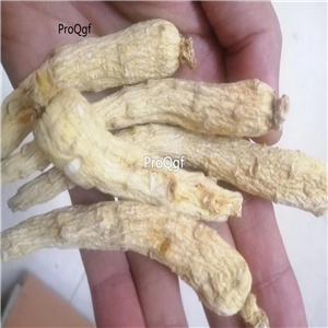 19usd Prodgf 200Gram A Set changbaishan white ginseng