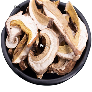 29usd  Prodgf 200Gram A Set  Boletus edulis