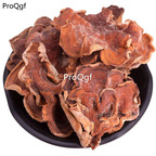 29usd Prodgf 250Gram A Set Gloeostereum incarnatum