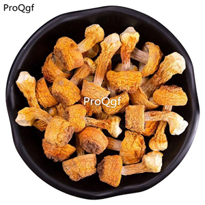 19usd Prodgf 250Gram A Set Agaricus blazei