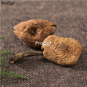 19usd Prodgf 250Gram A Set Agaricales zhen mushroom