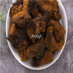 19usd Prodgf 250Gram A Set Betula fungus huashujun