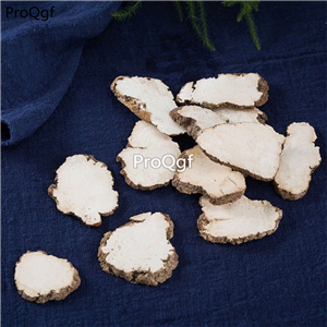 29usd Prodgf 250Gram A Set   Pleurotus tuber-regium hunaijun
