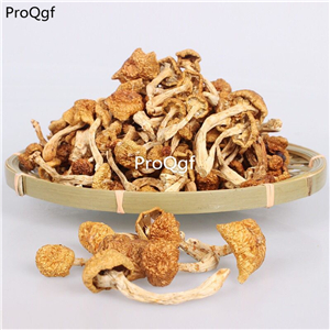 29usd prodgf 500gram pholiota nameko
