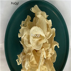 19usd prodgf 250Gram A Set fungus yangerjun