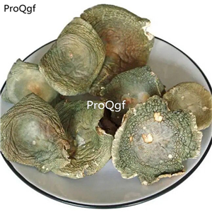 29usd Ngryise 250Gram A Set   Russula virescens qingtoujun