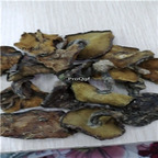 19usd Ngryise 250Gram A Set neimenggu pine mushroom