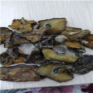 19usd Ngryise 250Gram A Set neimenggu pine mushroom