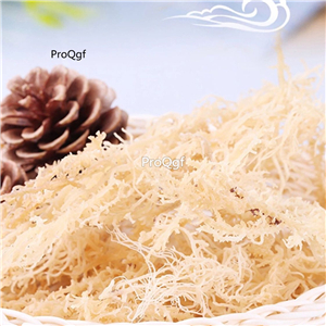 19usd Ngryise 500Gram A Set dry Asparagus schoberioides
