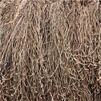 19usd Ngryise 300Gram A Set Vigna unguiculata