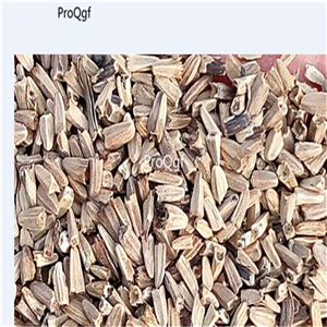 19usd Ngryise 9000Pcs A Set Monarda Didyma Crimson songguo seed