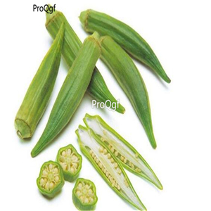19usd Prodgf 9000Pcs A Set Abelmoschus Esculentus Yellow Okra seed