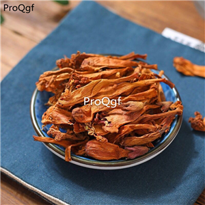 29usd Prodgf 200Gram A Set Campsis grandiflora