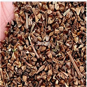 19usd Prodgf 8000Pcs A Set Schizanthus pinnatus ziwei seed