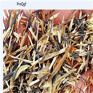 19usd Prodgf 30000Pcs A Set Tagetes Erecta Mexican Marigold seed