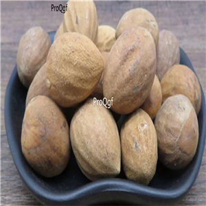 19usd Prodgf 300Pcs A Set Torreya grandis seed