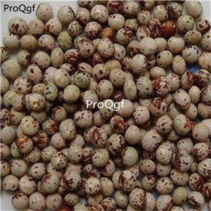 19usd Prodgf 3000Pcs A Set Cajanus Cajan seed