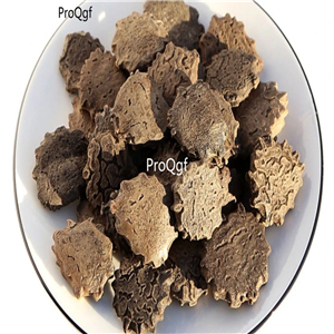 19usd Prodgf 500Gram A Set Momordica cochinchinensis
