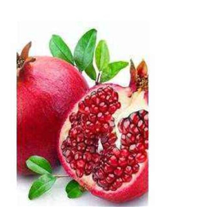 19usd Prodgf 2000Pcs A Set Punica granatum  seed