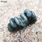 39usd Prodgf 1Pcs A Set xuefeng Haworthia truncata plant