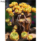 29usd Prodgf 1Pcs A Set echeveria jidan bitao cluster plant