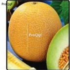 19usd Prodgf 6000Pcs A Set  ANANAS yellow hamigua seed
