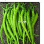 19usd Prodgf 8000Pcs A Set   SEYREK pepper seed