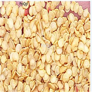 19usd Prodgf 8000Pcs A Set   SEYREK pepper seed