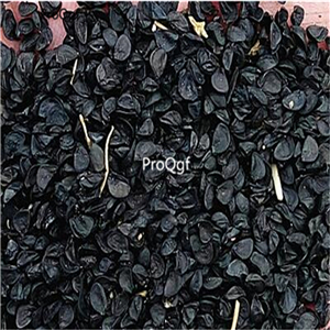 19usd Prodgf 8000Pcs A Set BEREKET onion seed