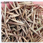 19usd 2000Pcs A Set Bambusa tuldoides Munro 19usd seed