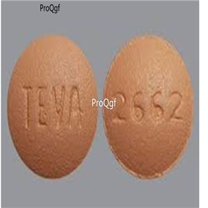 ProQgf 1 Set TEVA 2662 Punch Press die mold
