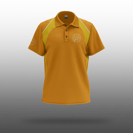 SCIE 男款Polo 衫 - Male Polo Shirt ( METAL-黄 )-旧款校服