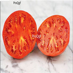 19usd Prodgf 9000Pcs A Set pink ponderosa tomato seed